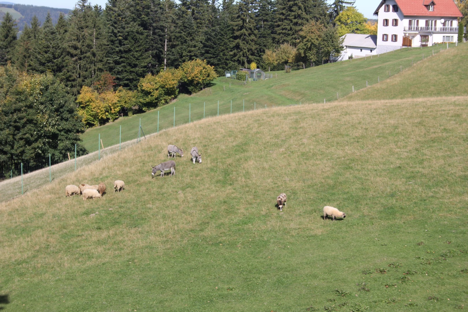 2019-10-13 Herbstausfahrt denhof